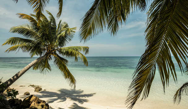 Luxury Beach at Four Seasons Resort Seychelles at Desroches Island