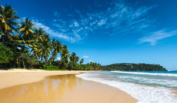 Luxury Beach at Wallawwa