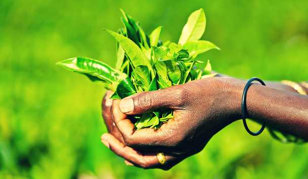 Hotel Experiences at Kahanda Kanda Boutique Hotel