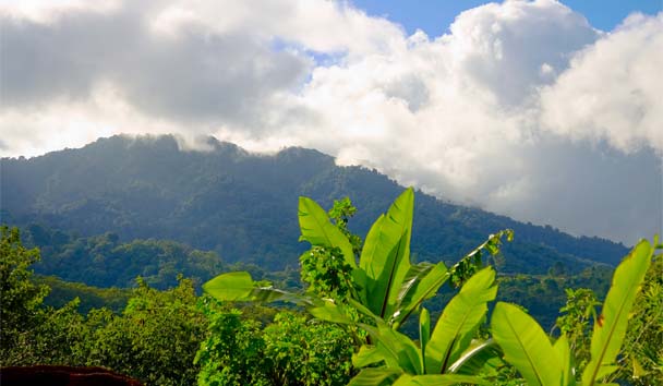 Adventure Travel at Hotel Grano De Oro