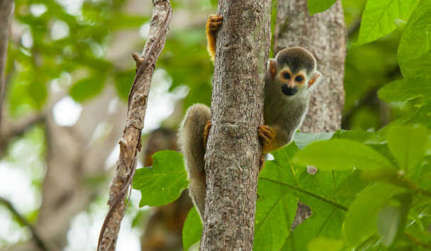 Adventure Travel at Arenas Del Mar