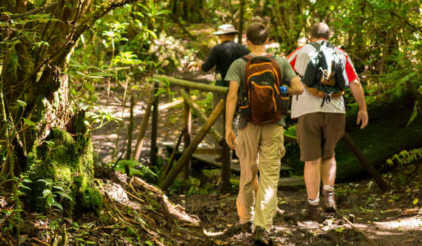 Adventure Travel at Finca Rosa Blanca Coffee Plantation Resort