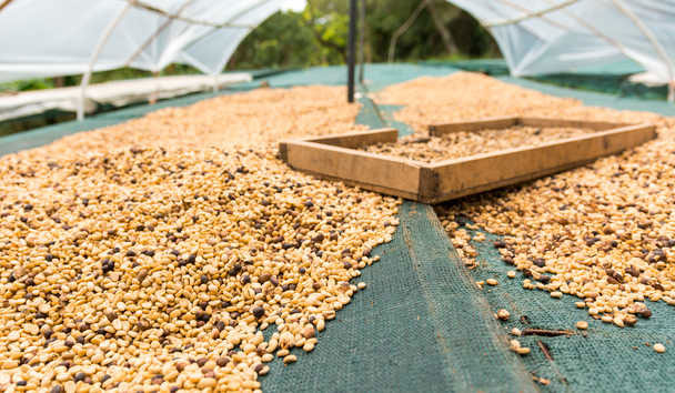 Dining & Gourmet at Finca Rosa Blanca Coffee Plantation Resort