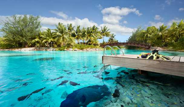 Wildlife Encounters at The St. Regis Bora Bora Resort