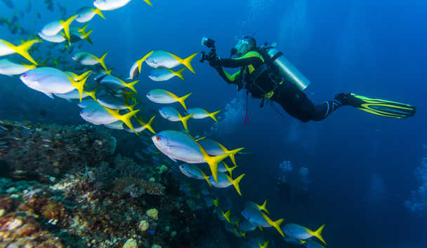 Scuba Diving at The Liming, Bequia