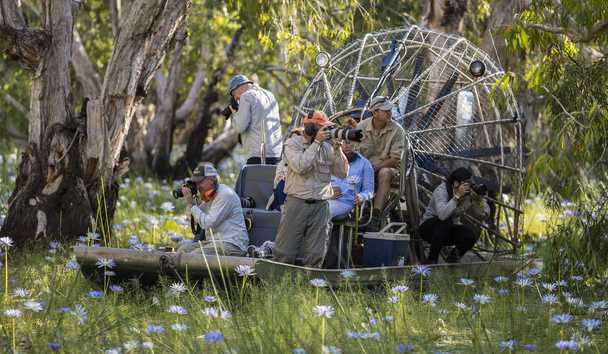 Wildlife Encounters at Bamurru Plains