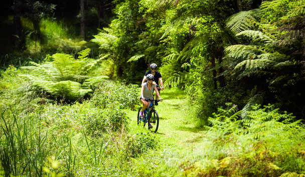 Hotel Experiences at Helena Bay Lodge